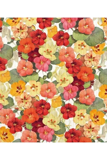 Skona Ting �ciereczka do naczy� Nasturcja STDISH26