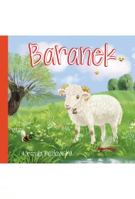 Baranek