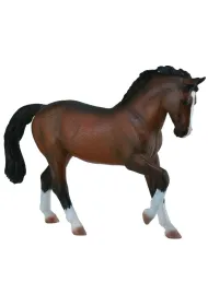 Ogier Warmblood Stallion Bay