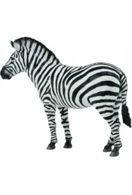 Zebra Common