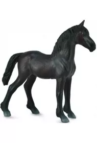 Źrebię Friesian Foal czarne