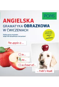 Angielska gramatyka obrazkowa w ćwiczeniach PONS