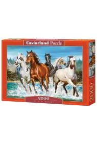 Puzzle 2000 el. Call of Nature