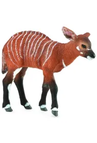 Krowa Bongo