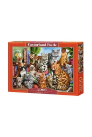 Puzzle 2000 el. House of Cats