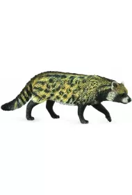 Kot Wiwera Civet African